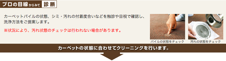 カーペットの状態に合わせてクリーニングを行います