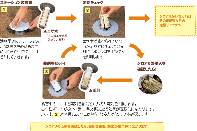 シロアリが発生しやすい場所とは